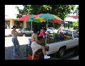 The girls dickered with this farmer's wife over a truckload of fruit.